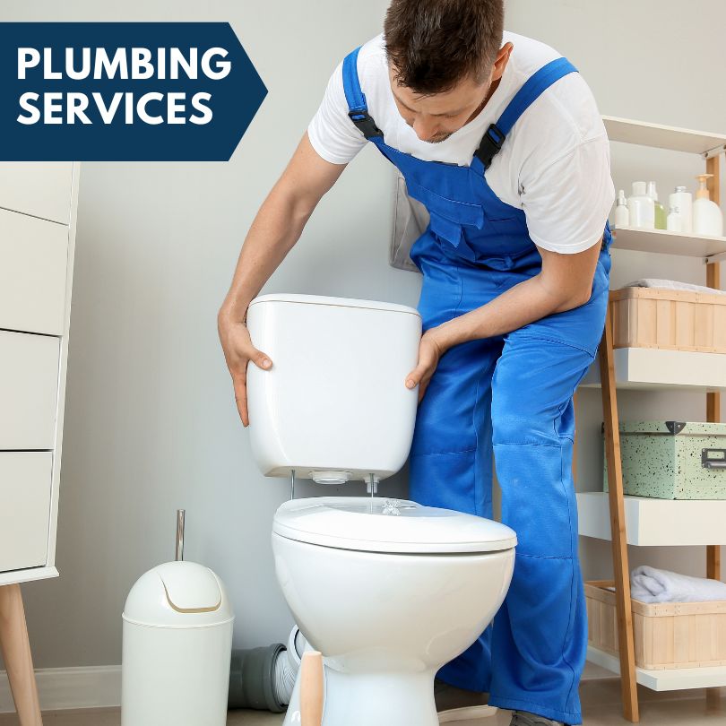 Plumbing Company in Townsville, NC